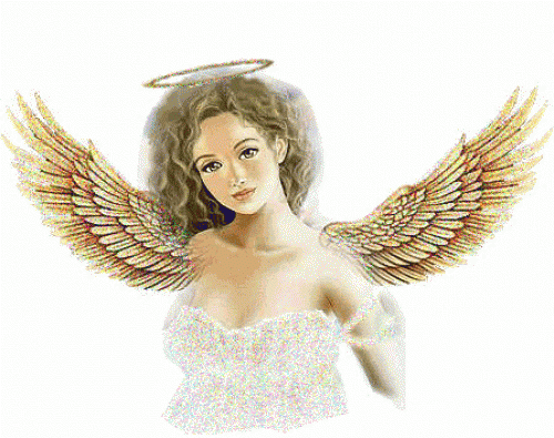 20530330.gif